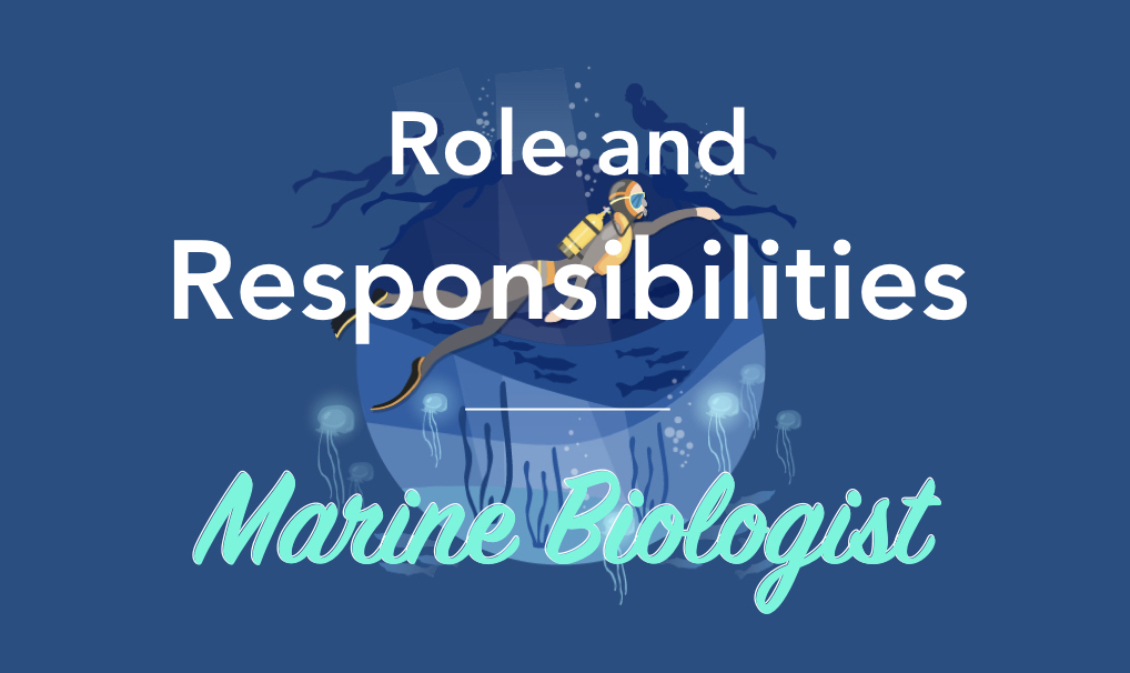 How to become a Marine Biologist?- Education, Jobs and Salary