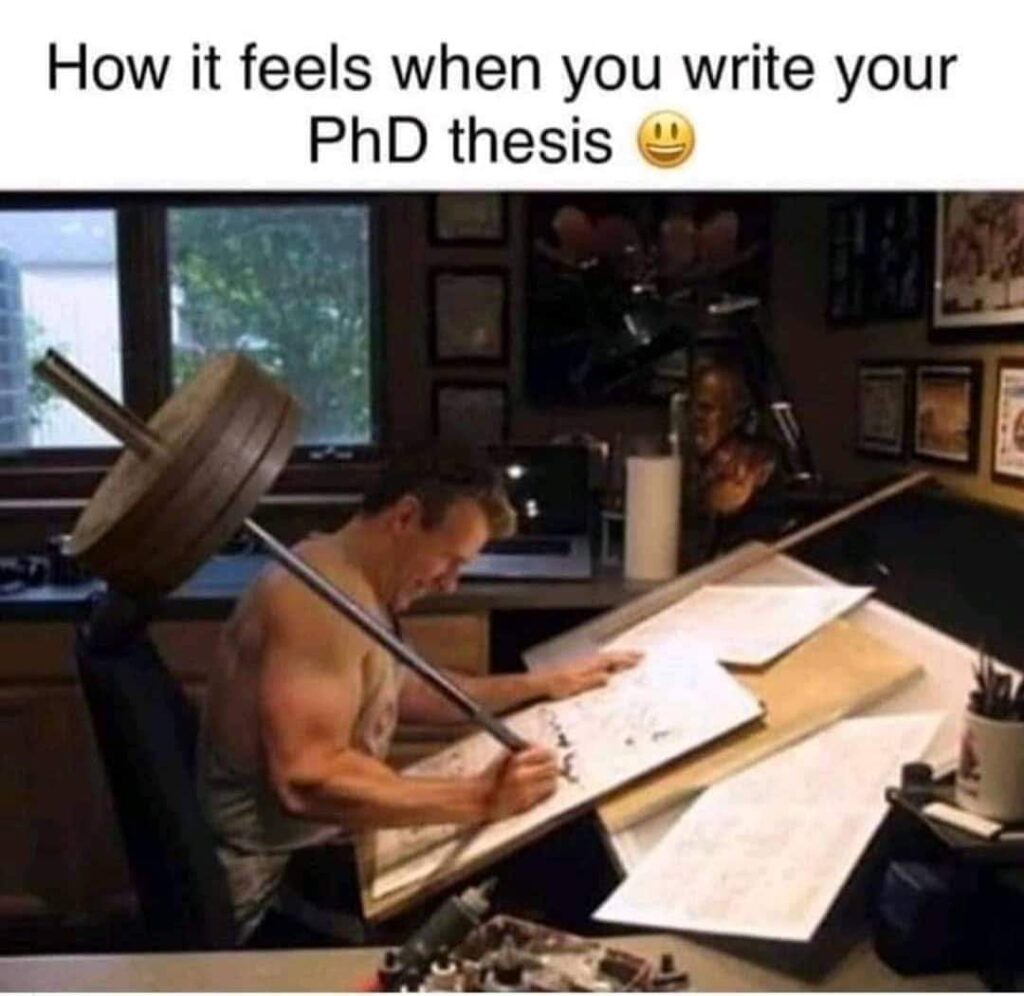Illustration of thesis writing- meme