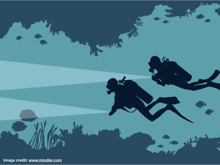 How to become a Marine Biologist?- Education, Jobs and Salary - ThePhDHub