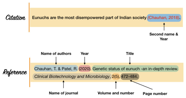 Key Differences between Citation vs References - ThePhDHub