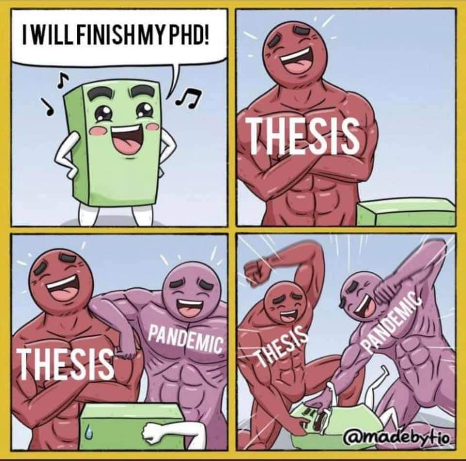 phd thesis memes