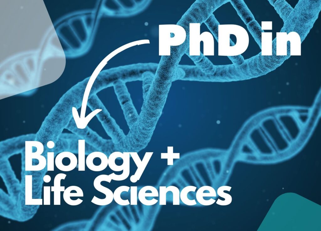 PhD in Biology and life sciences.
