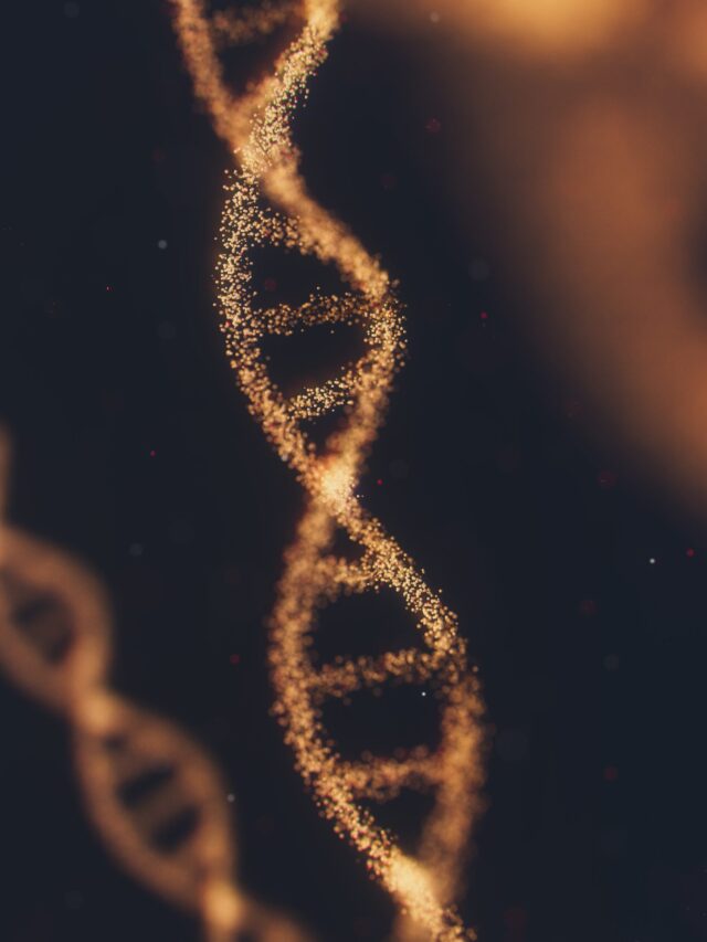 a strand of DNA