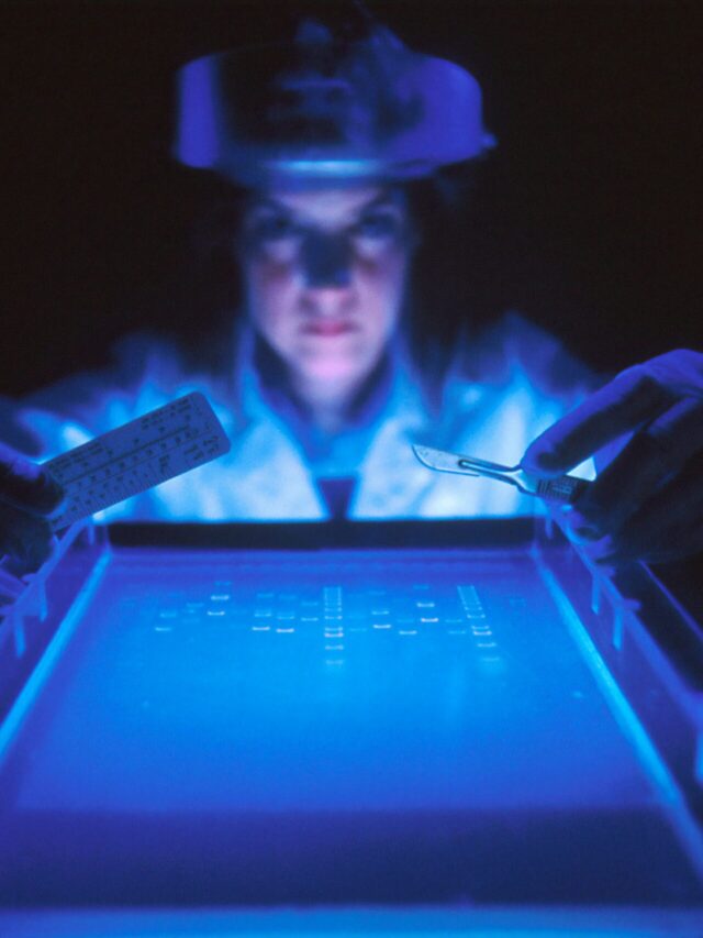 A scientist with agarose gel